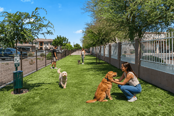 Pet park